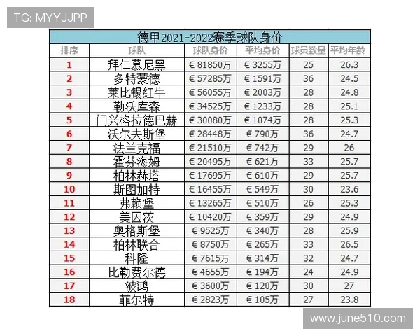 德甲各个球队缩写：德甲球队名称缩写及其代表意义