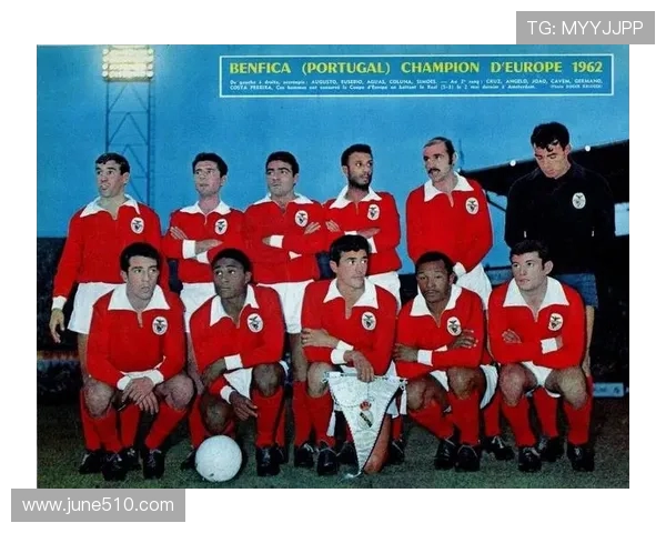 回顾1998世界杯巴西队赛程与比分全纪录解析及关键战役深度回顾